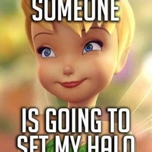 Meet your Posher, Linda